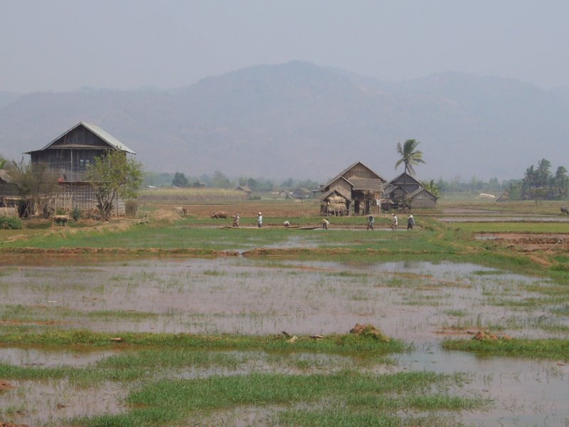 Travel - Myanmar - Inle Lake - Second Boat Trip - Walk to the Market